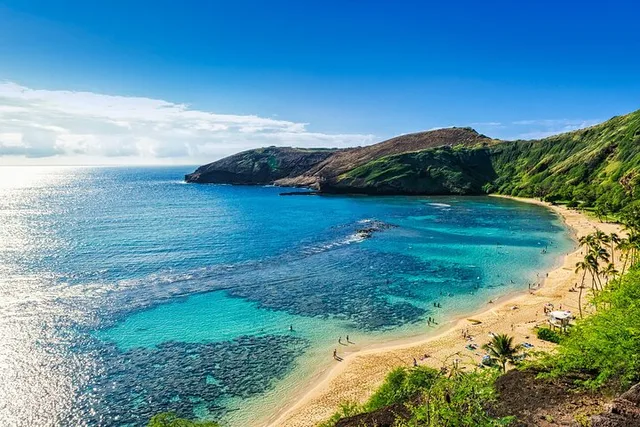 Oahu Private Nature and Turtle Tour 6 hr - Image 6