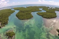 Key West Helicopter Eco Tour thumbnail 1