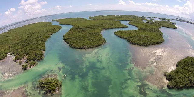 Key West Helicopter Eco Tour - Image 1