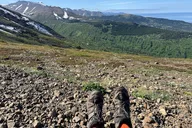 Anchorage Flattop Mountain Guided Hike with Pickup thumbnail 3