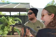 Fort Lauderdale Everglades Airboat Tour thumbnail 4