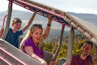Pigeon Forge Roaring Fork Jeep Tour 2.5 hr thumbnail 3