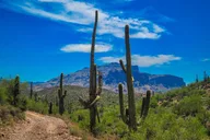 Phoenix Sonoran Desert Offroad Adventure at Sunset thumbnail 4