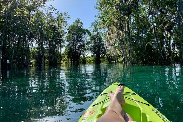 Crystal River Single Kayak Rental - Image 3