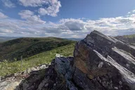 Alaska Scenic View Tour thumbnail 4