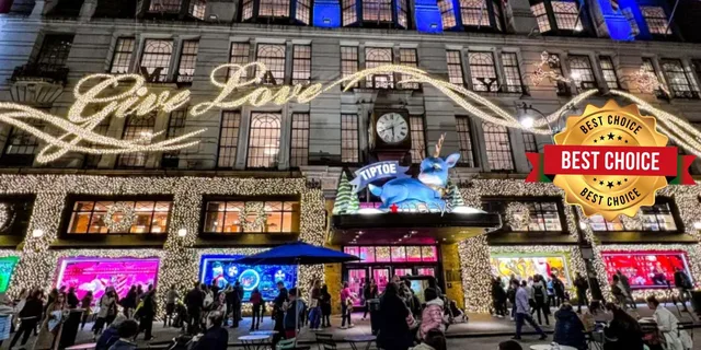 New York City Christmas Rickshaw Tour - Image 4