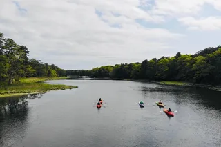 Cape Cod Kayak Tour