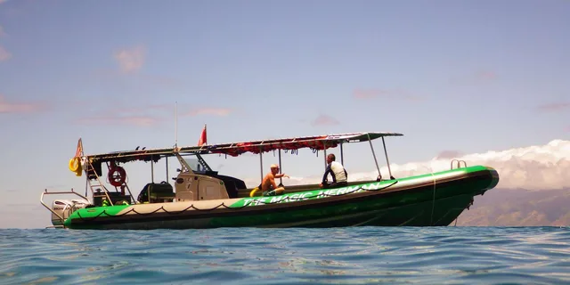 Maui Snorkeling Boat Tour from Ka'anapali - Image 6