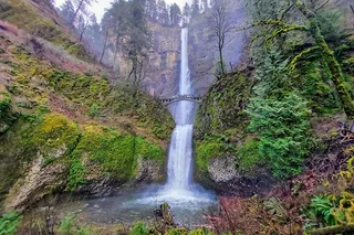 Portland Columbia River Gorge Tour Half-Day