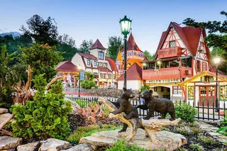 Atlanta Wine Country Tour