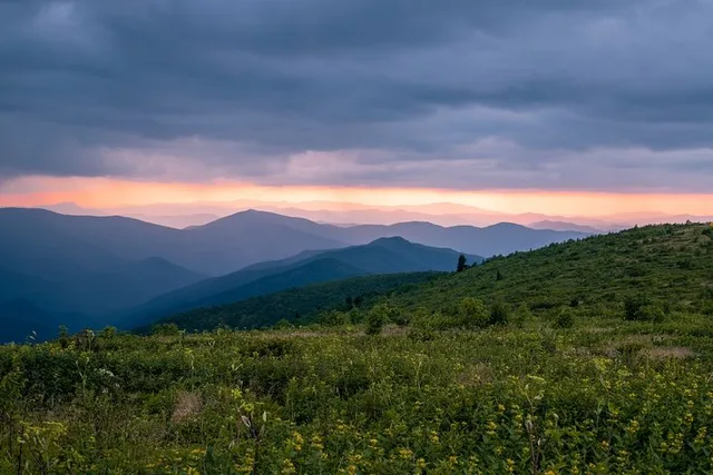 Asheville Hike with Long Range Views - Image 3