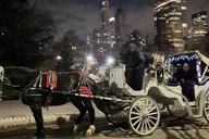 New York Central Park Horse and Carriage Ride thumbnail 4