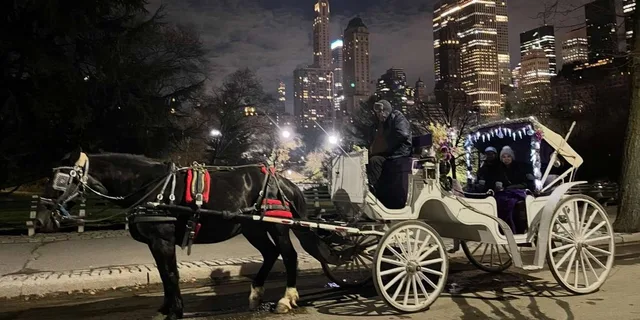New York Central Park Horse and Carriage Ride - Image 4