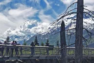 Anchorage Aerial Tram and Wildlife Tour thumbnail 2