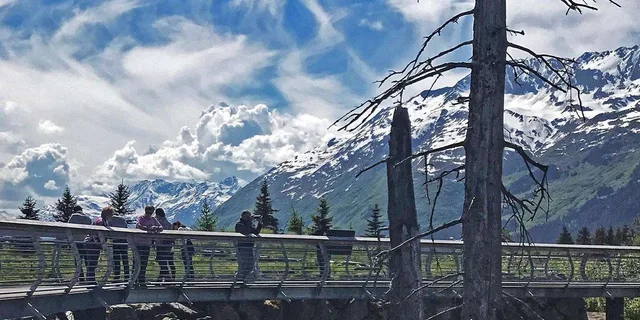 Anchorage Aerial Tram and Wildlife Tour - Image 2