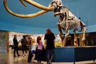 Los Angeles La Brea Tar Pits Museum Ticket thumbnail 2
