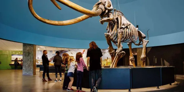 Los Angeles La Brea Tar Pits Museum Ticket - Image 2
