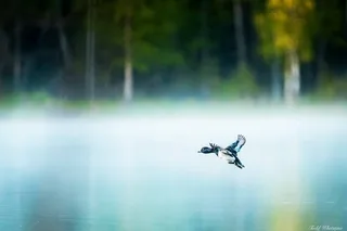 Fairbanks Photography Workshop