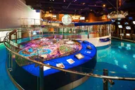 San Francisco Walt Disney Family Museum Admission thumbnail 3