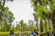 New Orleans Manchac Swamp Kayak Tour thumbnail 1
