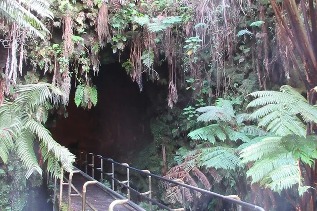 Hawaii Volcanoes National Park Tour from Big Island - Image 3
