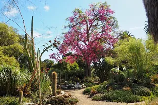 Walnut Creek Garden Admission