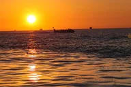 Destin Dolphin and Sunset Tour on Hydro Rocket 1 hr thumbnail 5