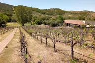 San Diego Auto Museum & Winery Tour thumbnail 3