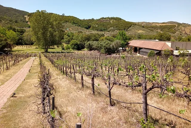 San Diego Auto Museum & Winery Tour - Image 3