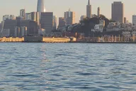 San Francisco Brunch Cruise on Christmas Eve thumbnail 5
