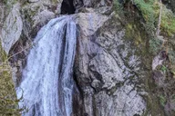 Seattle Waterfall and Forest Tour 4 hr thumbnail 4