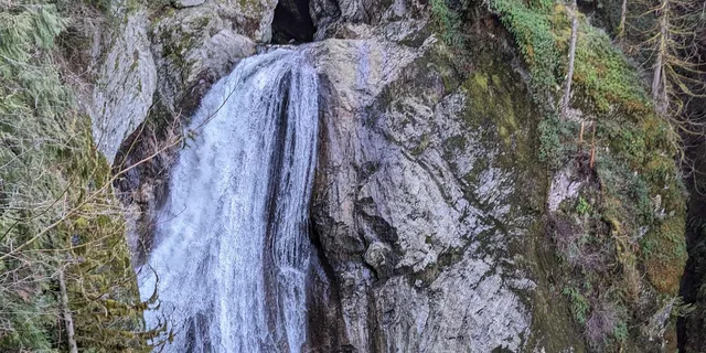 Seattle Waterfall and Forest Tour 4 hr - Image 4