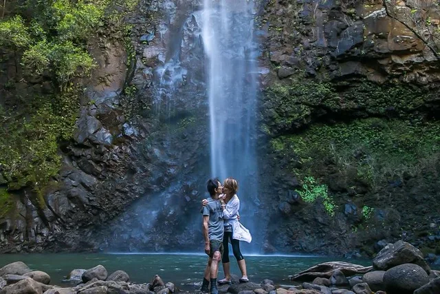 Kauai Waterfall Photo Tour 3 hr - Image 1