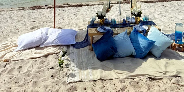 Miami Beachside Picnic Experience - Image 6