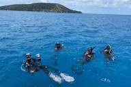 Honolulu Scuba Diving Two Shallow Reefs 3 hr thumbnail 2