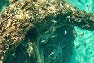 Fort Lauderdale Snorkel, Kayak & SUP Adventure thumbnail 4