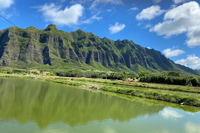 Oahu Circle Island Tour Off-the-Beaten Path - Image 1