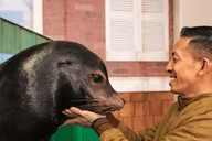 Atlanta Sea Lion Encounter thumbnail 1