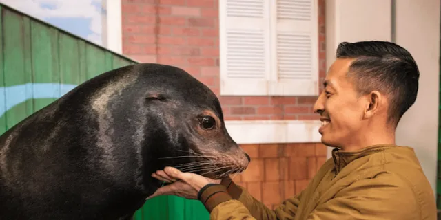 Atlanta Sea Lion Encounter - Image 1