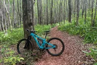 Maui Mountain Bike Tour on Haleakala Trails thumbnail 2