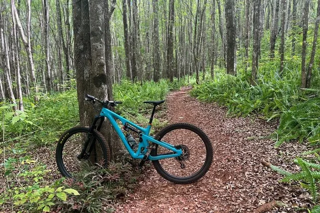 Maui Mountain Bike Tour on Haleakala Trails - Image 2