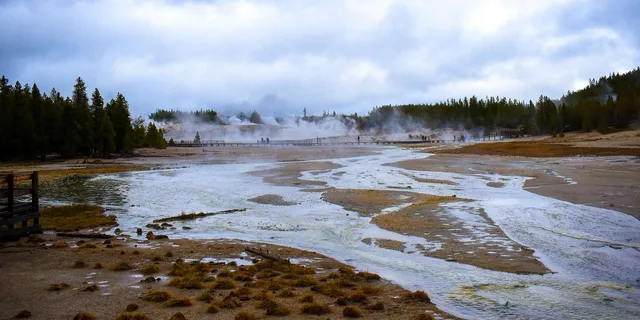 Yellowstone National Park 2-Day Tour - Image 6