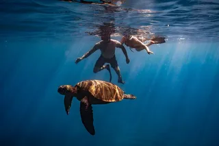 Maui Underwater Photoshoot