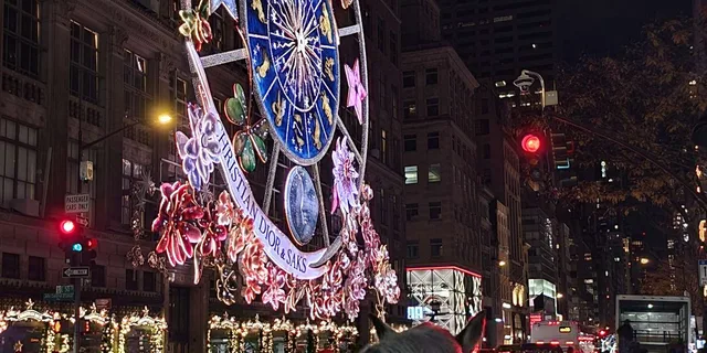 New York City Christmas Lights Horse Carriage Ride - Image 4