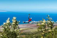 Maui Zipline Adventure in Ka'anapali thumbnail 2