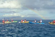 Maui Kayak and Snorkel Adventure at Olowalu 4 hr thumbnail 1