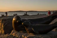 Seattle Evening Tour: Waterfront & Alki Beach thumbnail 1