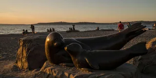 Seattle Evening Tour: Waterfront & Alki Beach