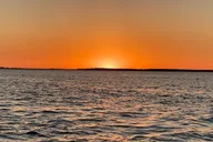 Cape Coral Dolphin Boat Tour thumbnail 2
