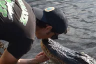 New Orleans Airboat Swamp Tour thumbnail 3